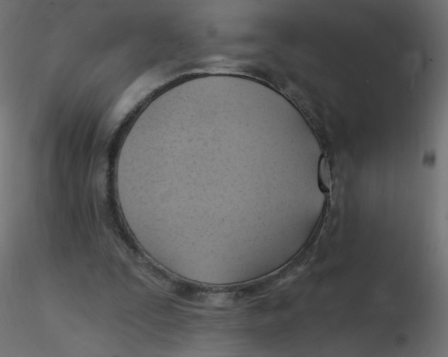 X0000116630295200912312205