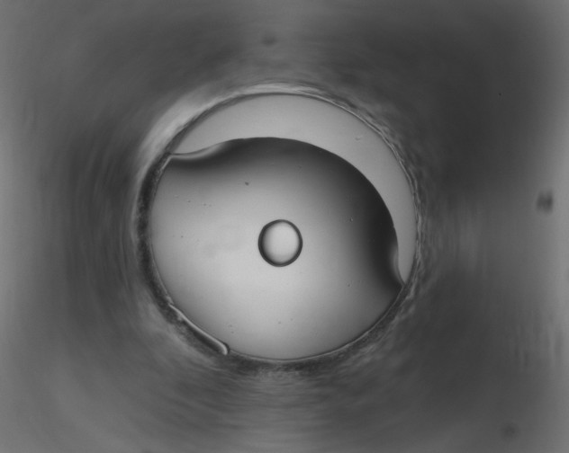 X0000116630296200912312205