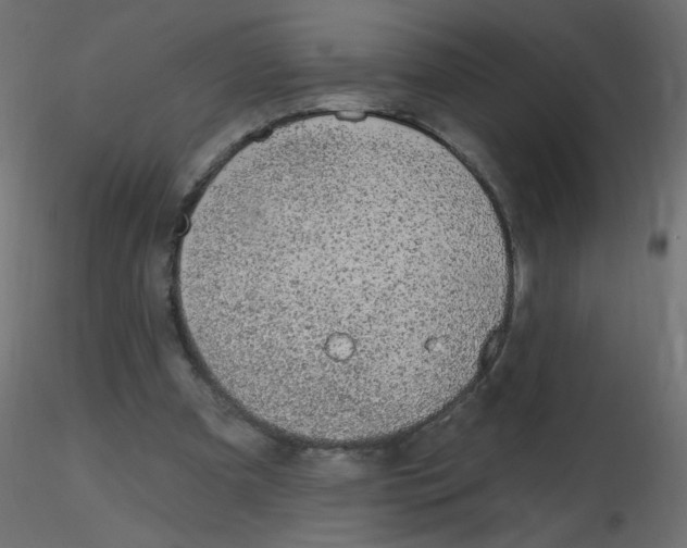 X0000116630297200912312205