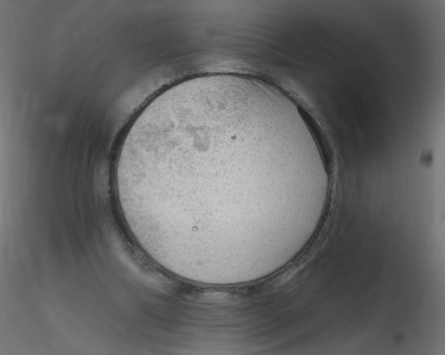 X0000116630298200912312205