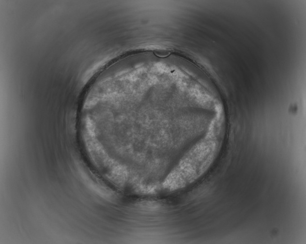 X0000116630299200912312205