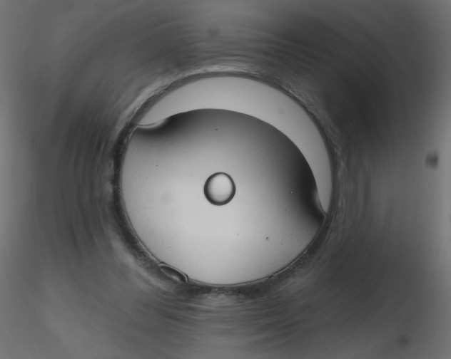 X0000116630300200912312205