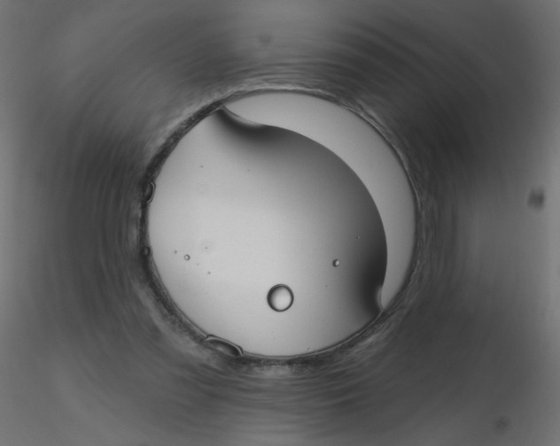 X0000116630301200912312205