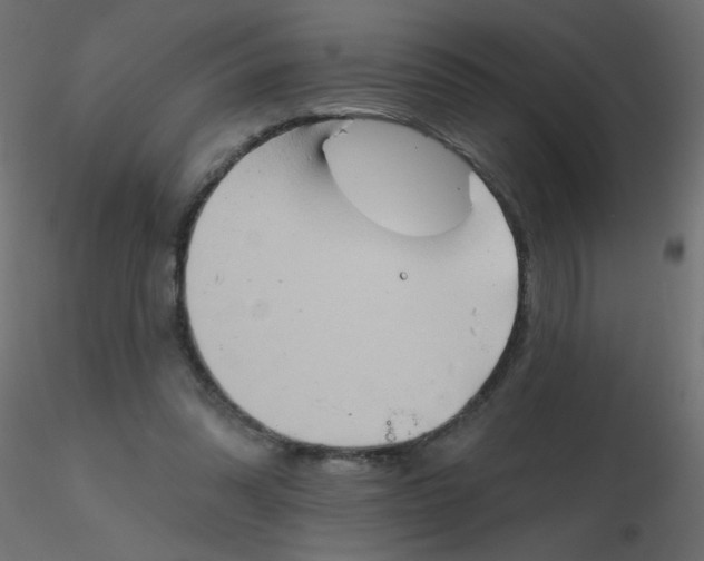 X0000116630302200912312205