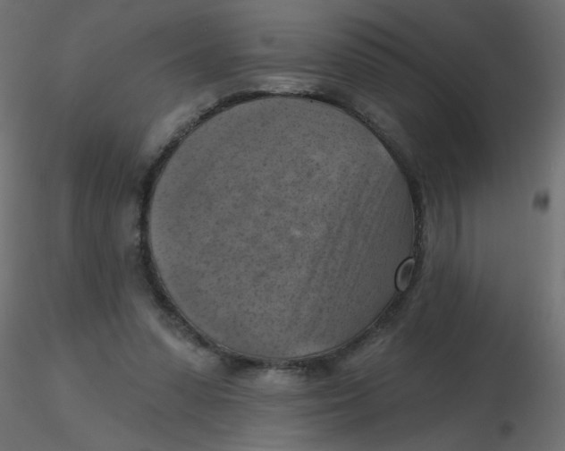 X0000116630303200912312205