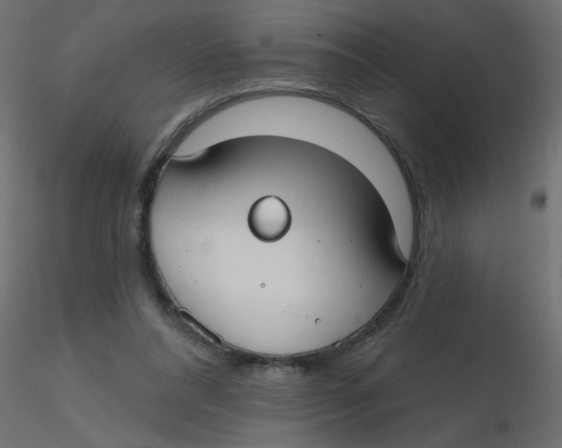 X0000116630304200912312205