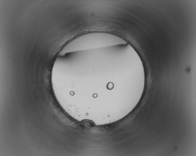 X0000116630305200912312205