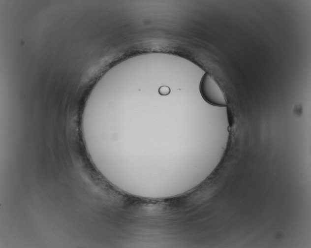 X0000116630306200912312205