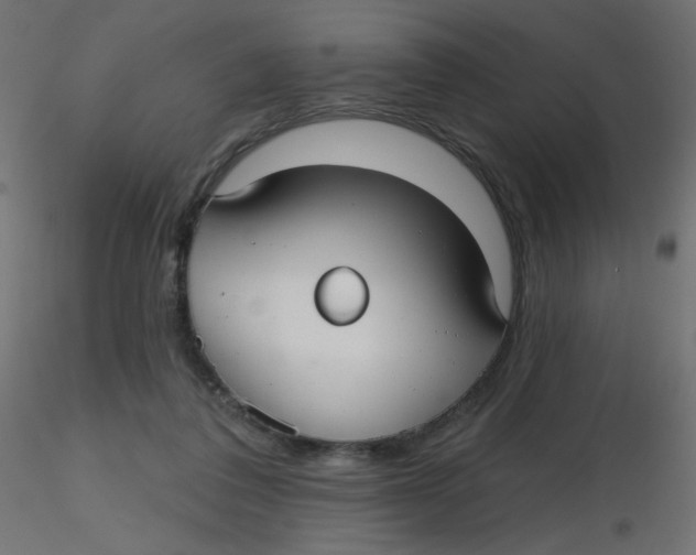 X0000116630308200912312205