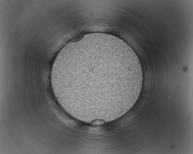 X0000116630309200912312205