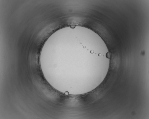 X0000116630310200912312205