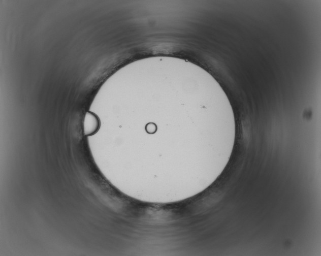 X0000116630311200912312205