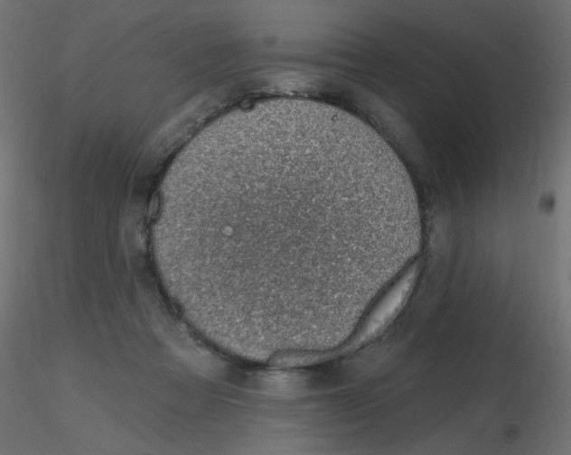 X0000116630313200912312205