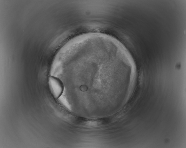 X0000116630314200912312205