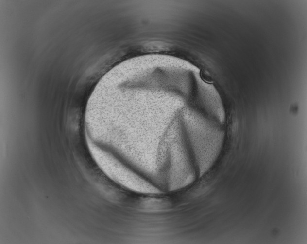 X0000116630315200912312205