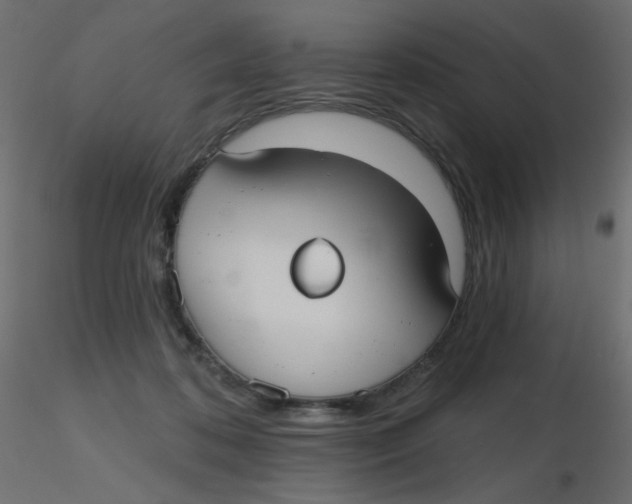 X0000116630316200912312205