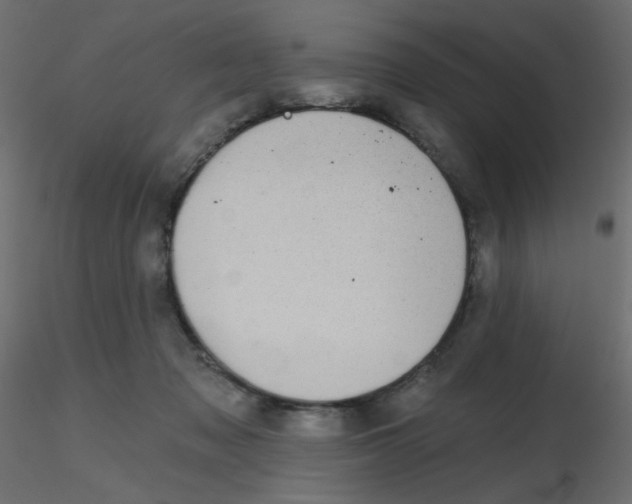 X0000116630317200912312205