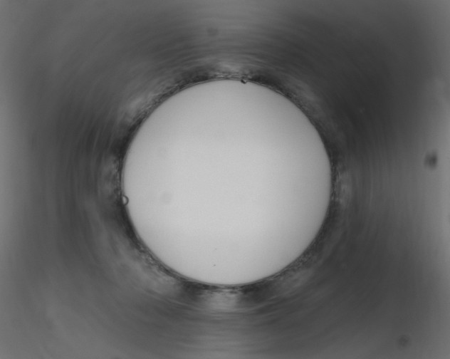 X0000116630318200912312205