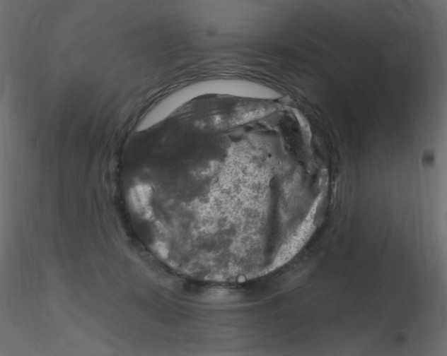 X0000116630319200912312205
