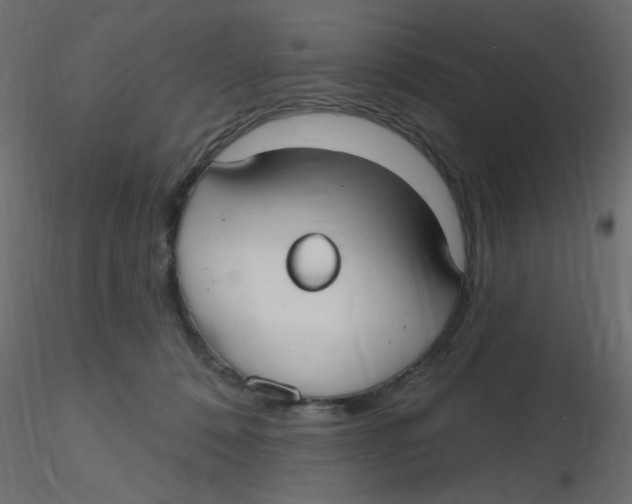 X0000116630320200912312205