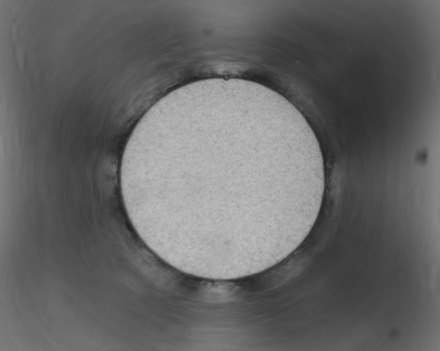 X0000116630321200912312205