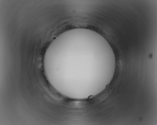 X0000116630323200912312205