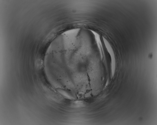 X0000116630324200912312205