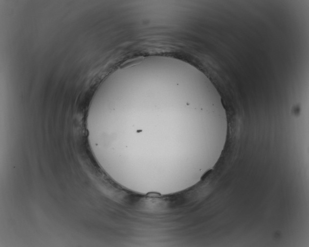 X0000116630327200912312205