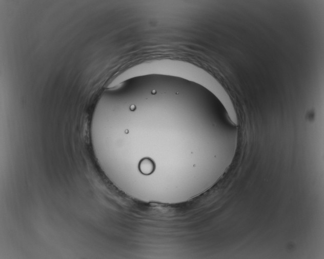 X0000116630328200912312205