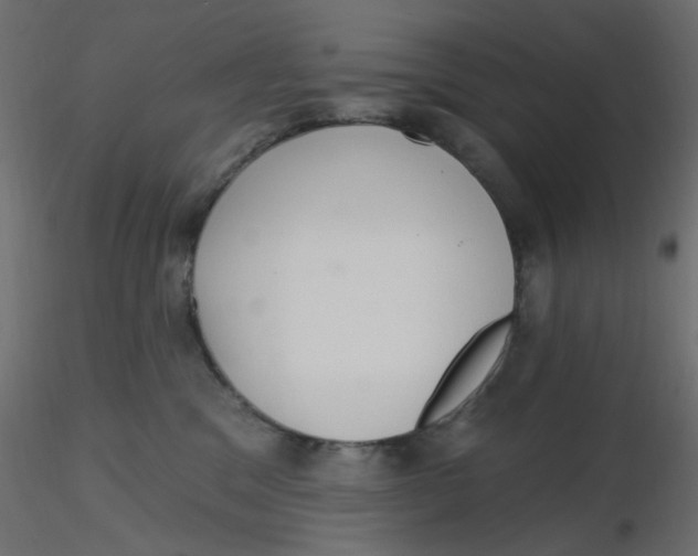 X0000116630329200912312205