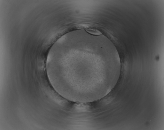X0000116630331200912312205