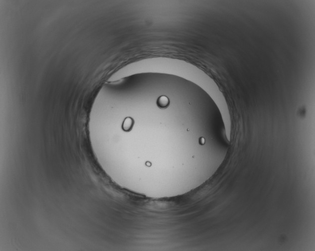 X0000116630332200912312205