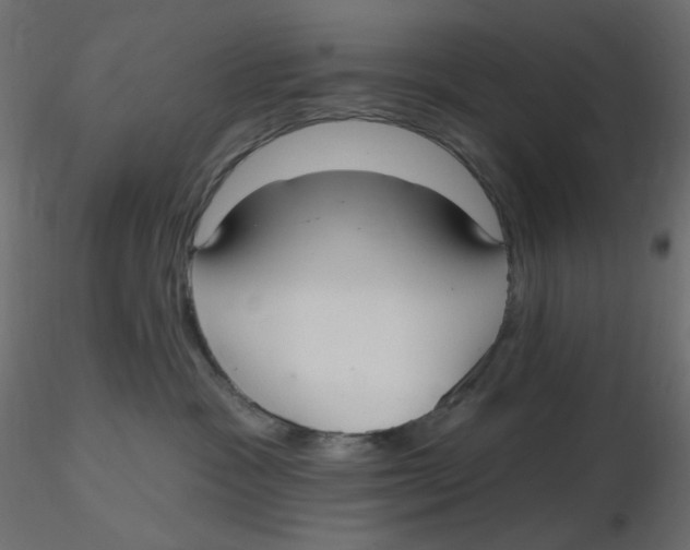 X0000116630333200912312205
