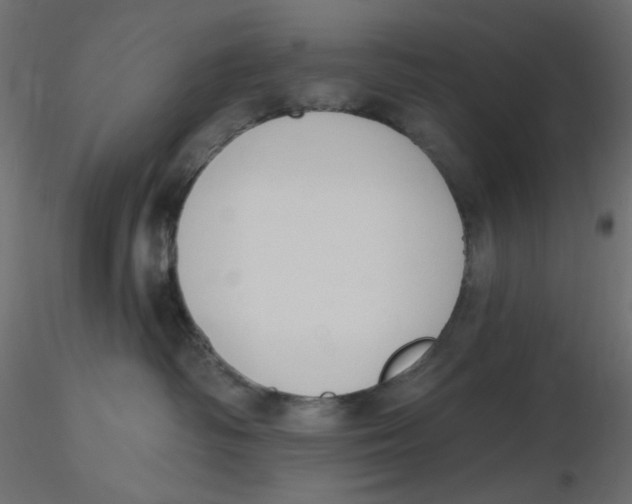X0000116630334200912312205