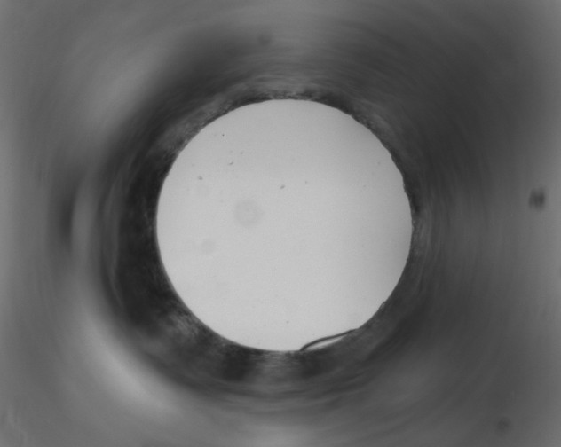 X0000116630335200912312205