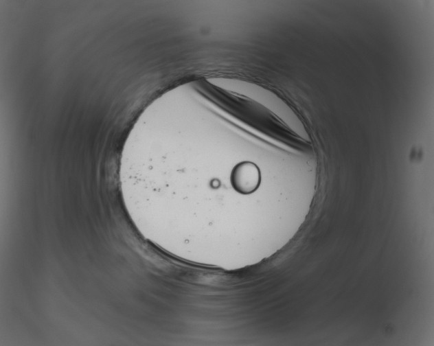 X0000116630336200912312205