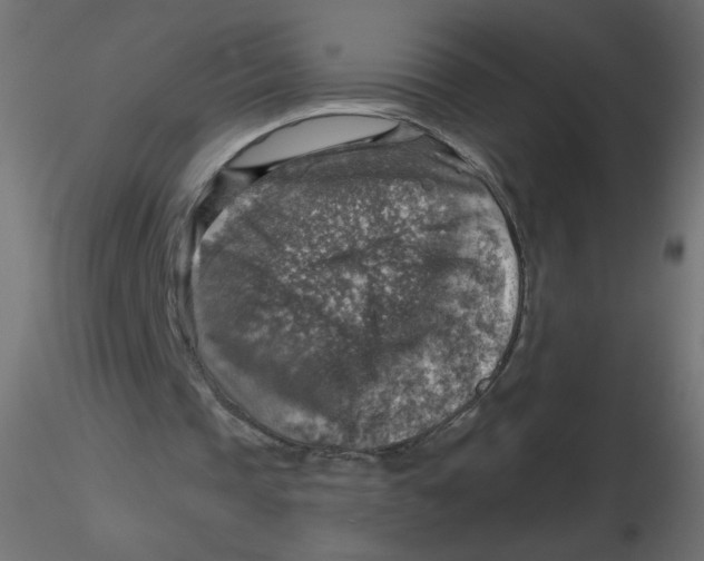 X0000116630337200912312204