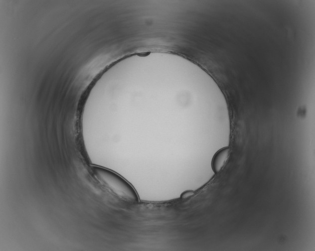 X0000116630338200912312204