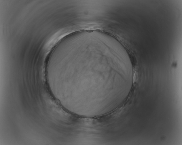 X0000116630339200912312204