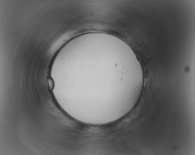 X0000116630341200912312204