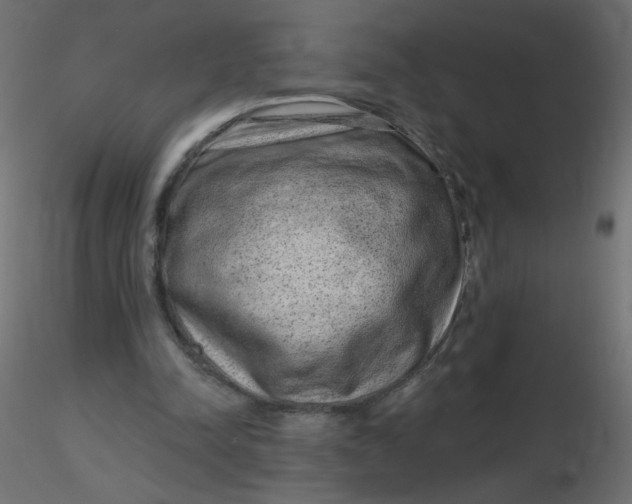 X0000116630342200912312204