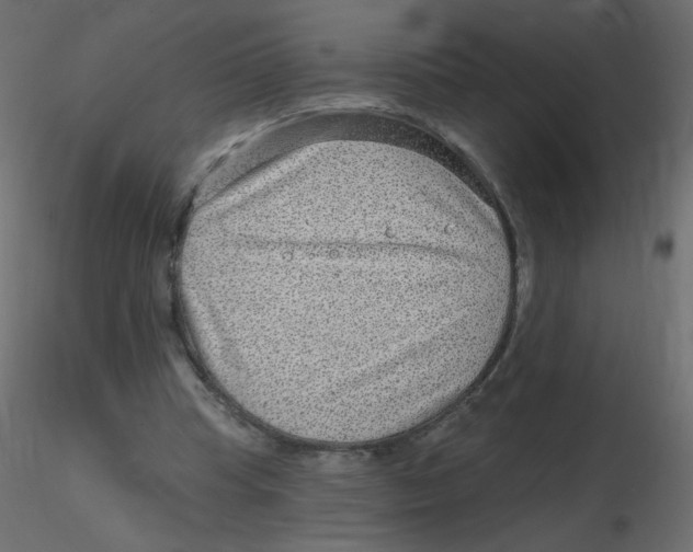 X0000116630345200912312204