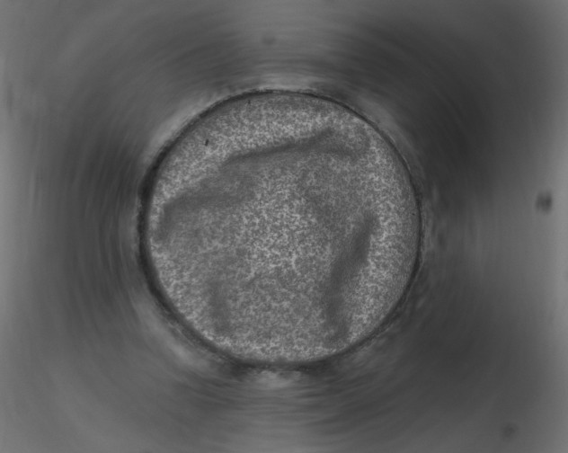 X0000116630346200912312204
