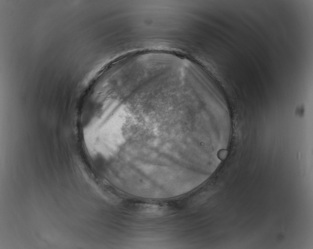 X0000116630347200912312204
