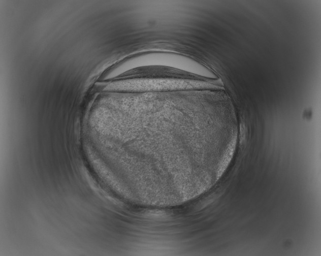 X0000116630349200912312204