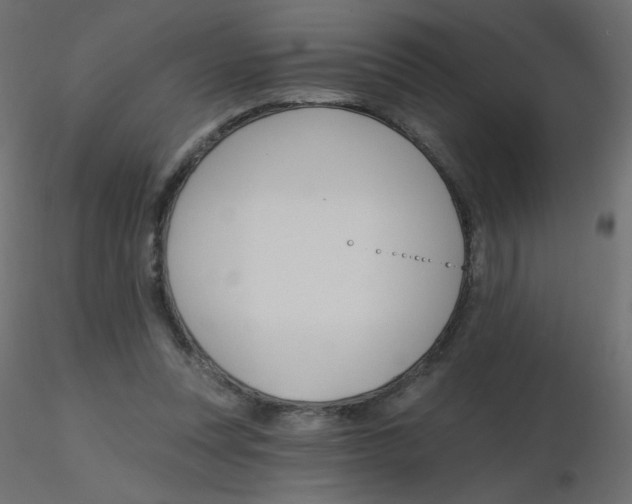 X0000116630351200912312204