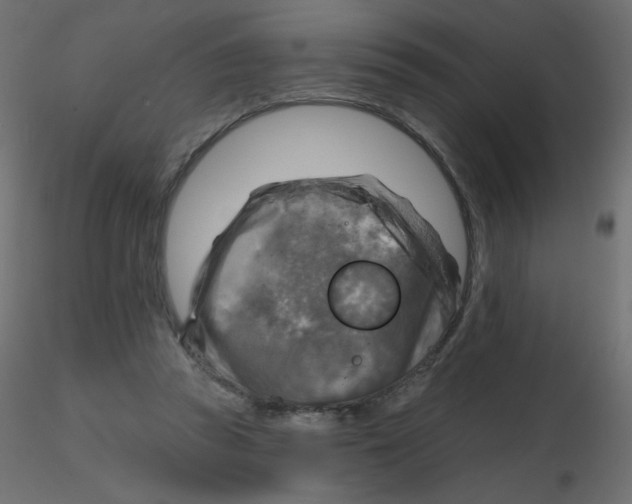 X0000116630353200912312204