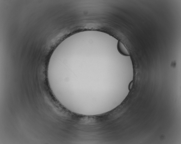 X0000116630354200912312204