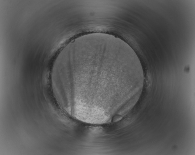 X0000116630355200912312204