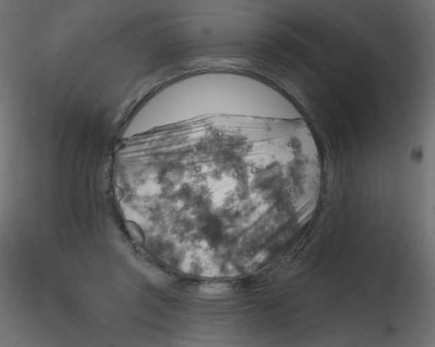 X0000116630357200912312204